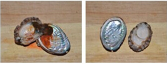 蒜蓉蒸<a href=/shicai/shuichanpin/BaoYu/index.html target=_blank><u>鲍鱼</u></a>步骤1-2