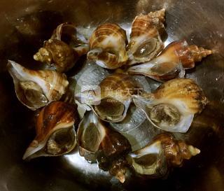 白灼<a href=/shicai/shuichanpin/HaiLuo/index.html target=_blank><u>海螺</u></a>