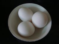 养生食谱大放送