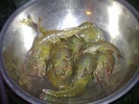 养生食谱大放送