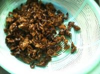 养生食谱大放送