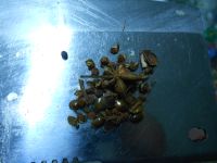 养生食谱大放送