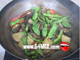 东北炖菜的做法8