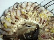 养生食谱大放送