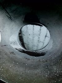 养生食谱大放送