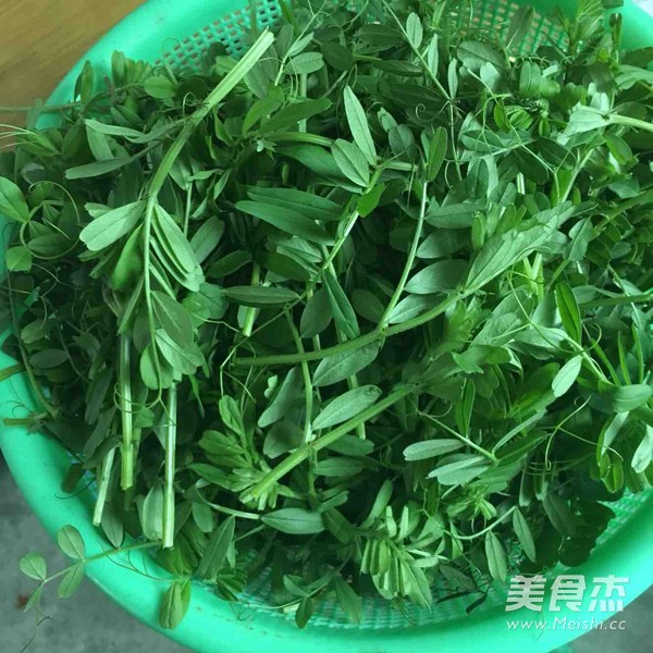 清炒野<a href=/shicai/shucai/WanDouJian/index.html target=_blank><u><a href=/shicai/shucai/WanDou/index.html target=_blank><u>豌豆</u></a>尖</u></a>的做法