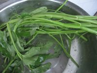 养生食谱大放送