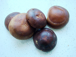 烤<a href=/shicai/shucai/XiangGu/index.html target=_blank><u>香菇</u></a>