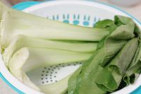 养生食谱大放送