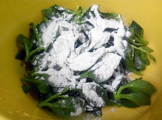 蒜蓉田七<a href=/shicai/shucai/MuEr/index.html target=_blank><u>木耳</u></a>