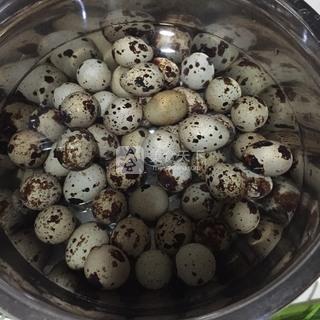 卤<a href=/shicai/rouqin/AnChun/index.html target=_blank><u>鹌鹑</u></a>蛋