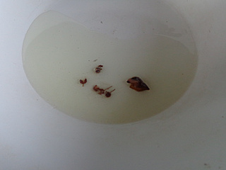 <a href=/shicai/shucai/QingJiao/index.html target=_blank><u>青椒</u></a><a href=/shicai/shucai/XingBaoGu/index.html target=_blank><u><a href=/shicai/guopin/Xing/index.html target=_blank><u>杏</u></a>鲍菇</u></a>