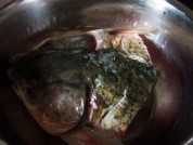 养生食谱大放送