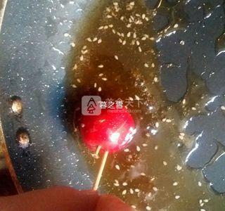 <a href=zt/tanghulu target=_blank><u>冰糖葫芦</u></a>