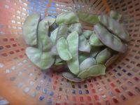 养生食谱大放送