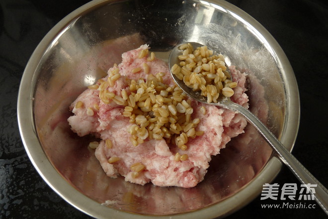 <a href=/shicai/mimian/YanMai/index.html target=_blank><u>燕麦</u></a><a href=/shicai/guopin/ZhiMa/index.html target=_blank><u>芝麻</u></a>肉丸的做法