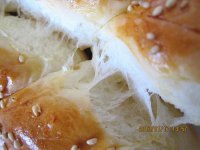 养生食谱大放送