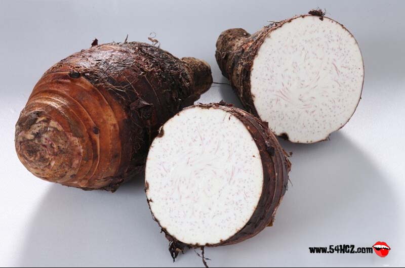 孕妇可以吃<a href=/shicai/shucai/YuTou/index.html target=_blank><u>芋头</u></a>吗2