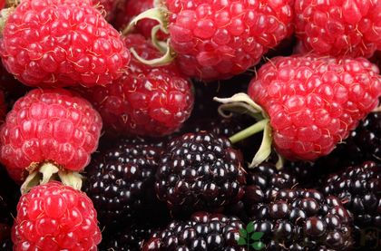 补肝阴虚的食物