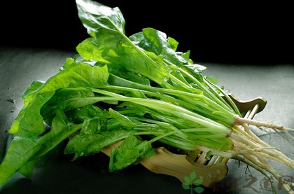 补肝<a href=/shicai/rouqin/Xue/index.html target=_blank><u>血</u></a>的食物