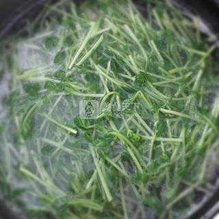 肉末<a href=/shicai/shucai/DouMiao/index.html target=_blank><u>豆苗</u></a><a href=/shicai/mimian/DouFu/index.html target=_blank><u>豆腐</u></a>汤