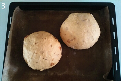 <a href=/shicai/guopin/GuiYuan/index.html target=_blank><u>桂圆</u></a>亚麻籽软欧包步骤5