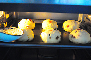 蜜<a href=/shicai/guopin/Zao/index.html target=_blank><u>枣</u></a>小<a href=/shicai/mimian/MianBao/index.html target=_blank><u>面包</u></a>