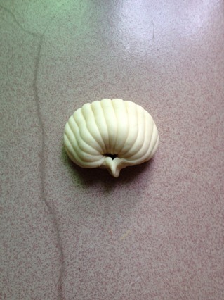 贝壳<a href=/shicai/mimian/HongDou/index.html target=_blank><u>红豆</u></a>包