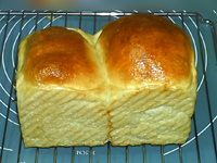 山形<a href=/shicai/mimian/MianBao/index.html target=_blank><u>面包</u></a>