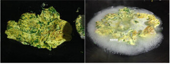 <a href=/shicai/shucai/JiuCai/index.html target=_blank><u>韭菜</u></a>煮土<a href=/shicai/rouqin/YaDan/index.html target=_blank><u>鸭蛋</u></a>步骤7-8