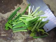 养生食谱大放送