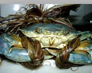 养生食谱大放送