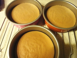 可可<a href=/shicai/guopin/CaoMei/index.html target=_blank><u>草莓</u></a>裸蛋糕步骤15