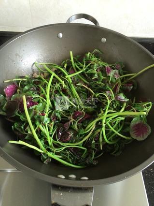 蒜蓉<a href=/shicai/shucai/XianCai/index.html target=_blank><u>苋菜</u></a>