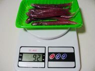 养生食谱大放送