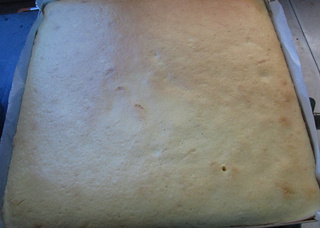 <a href=/shicai/mimian/SuanNai/index.html target=_blank><u>酸奶</u></a>蛋糕