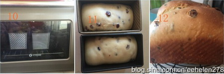 蜂香<a href=/shicai/guopin/ManYueMei/index.html target=_blank><u>蔓越莓</u></a><a href=/shicai/mimian/TuSi/index.html target=_blank><u>吐司</u></a>步骤10-12