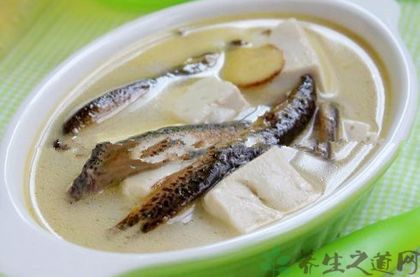 肝病吃什么好 肝病吃什么好