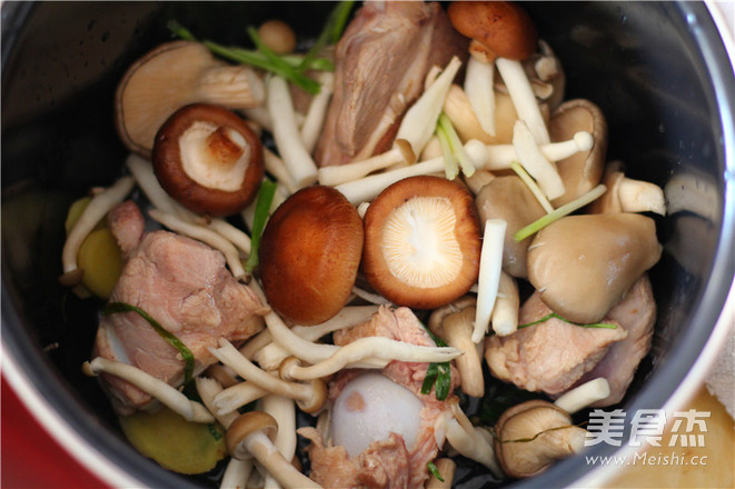 #苏泊尔#菌菇大骨汤的做法