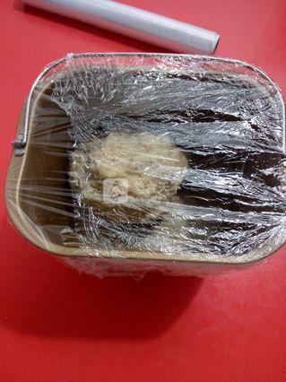 椰蓉手撕<a href=/shicai/mimian/MianBao/index.html target=_blank><u>面包</u></a>