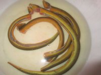 养生食谱大放送