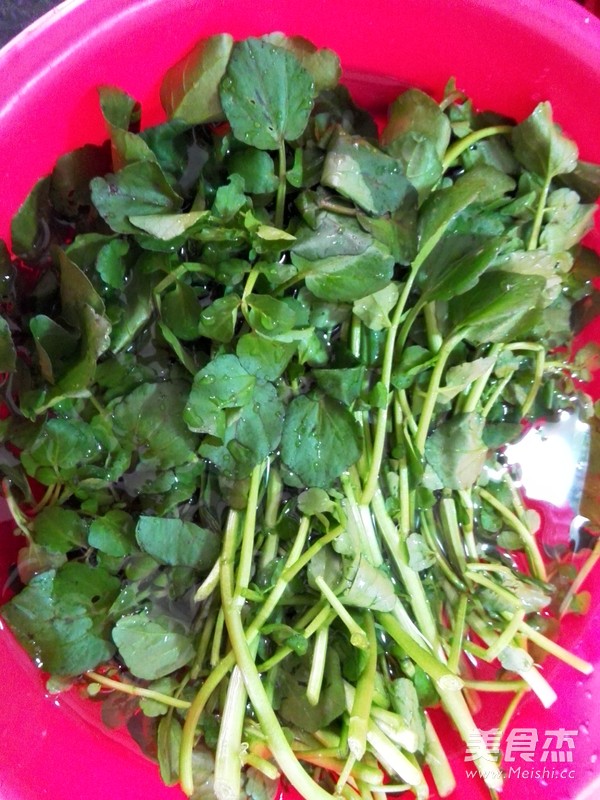 <a href=/shicai/shucai/XiYangCai/index.html target=_blank><u>西洋菜</u></a><a href=/shicai/rouqin/PaiGu/index.html target=_blank><u>排骨</u></a>汤的做法