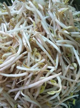 <a href=/shicai/guopin/ZhiMa/index.html target=_blank><u>芝麻</u></a>酱凉拌<a href=/shicai/shucai/HuangGua/index.html target=_blank><u>黄瓜</u></a>豆<a href=/shicai/shucai/YaCai/index.html target=_blank><u>芽菜</u></a>