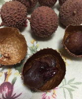 <a href=/shicai/guopin/LiZhi/index.html target=_blank><u>荔枝</u></a>玫瑰<a href=/shicai/mimian/MianBao/index.html target=_blank><u>面包</u></a>步骤2