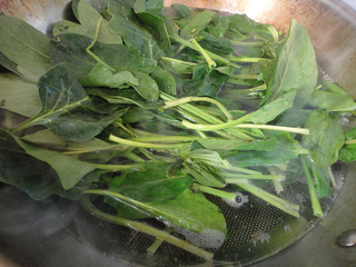 <a href=/shicai/shucai/BoCai/index.html target=_blank><u>菠菜</u></a>拌<a href=/shicai/mimian/FenSi/index.html target=_blank><u>粉丝</u></a>