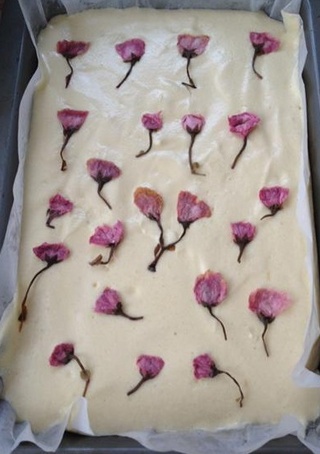 樱花<a href=zt/qifengdg target=_blank><u>戚风蛋糕</u></a>卷