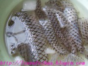 养生食谱大放送