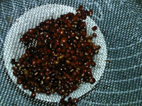 青红<a href=/shicai/mimian/DouJiang/index.html target=_blank><u>豆浆</u></a>