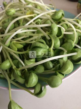 清炒青<a href=/shicai/shucai/DouYa/index.html target=_blank><u>豆芽</u></a>