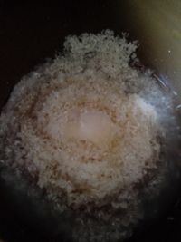 养生食谱大放送